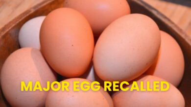 Urgent Egg Recall